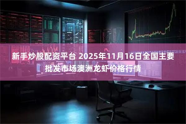 新手炒股配资平台 2025年11月16日全国主要批发市场澳洲龙虾价格行情